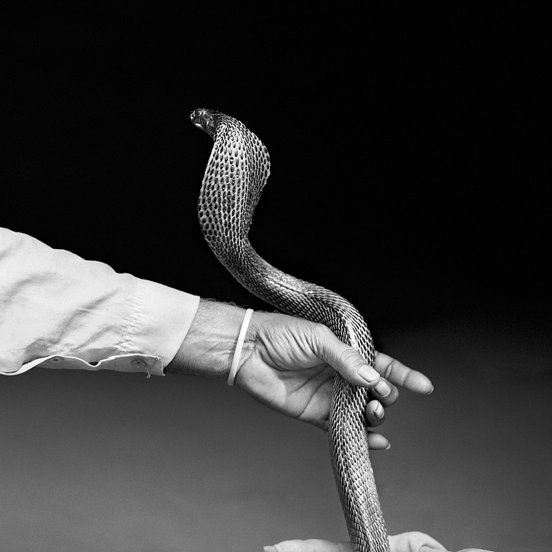 © Christine Turnauer – Snake charmer with cobra, India, 2015, Courtesy KLV Art Projects