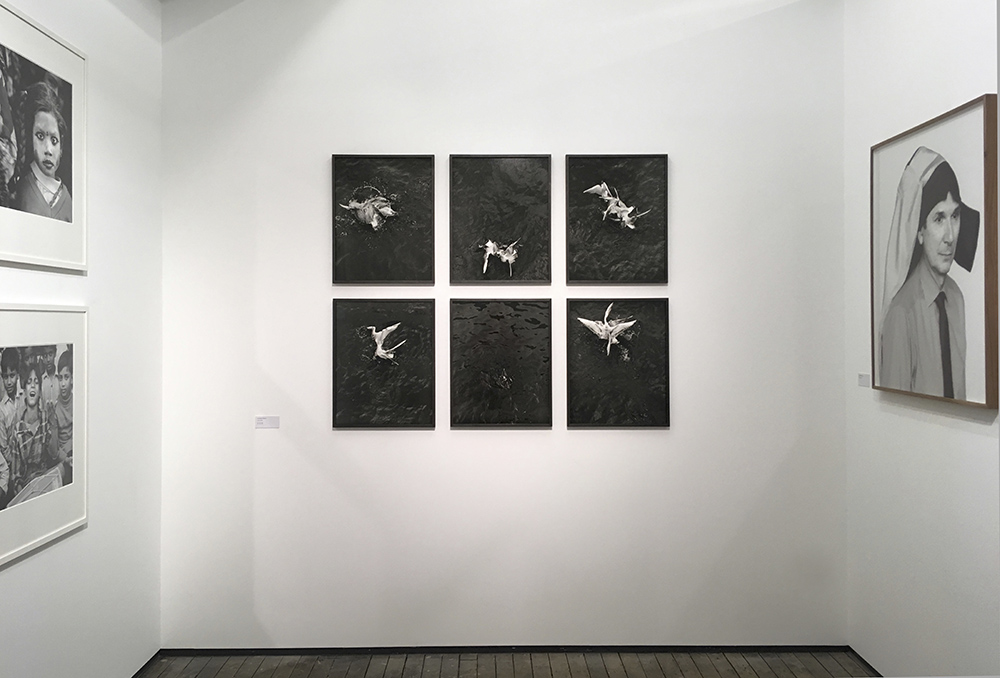 New York exhibition – Christine Turnauer, Loredana Nemes, 2017